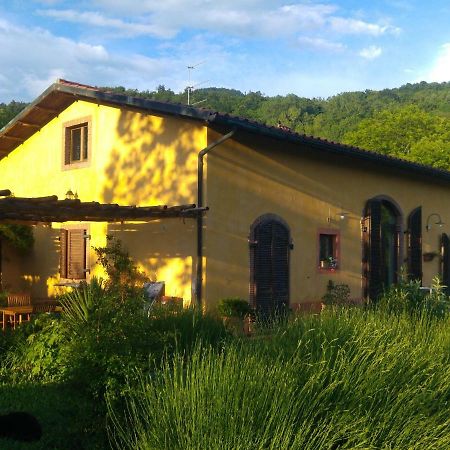 Podere Di Maggio - Casa Della Nonna Santa Fiora Ngoại thất bức ảnh