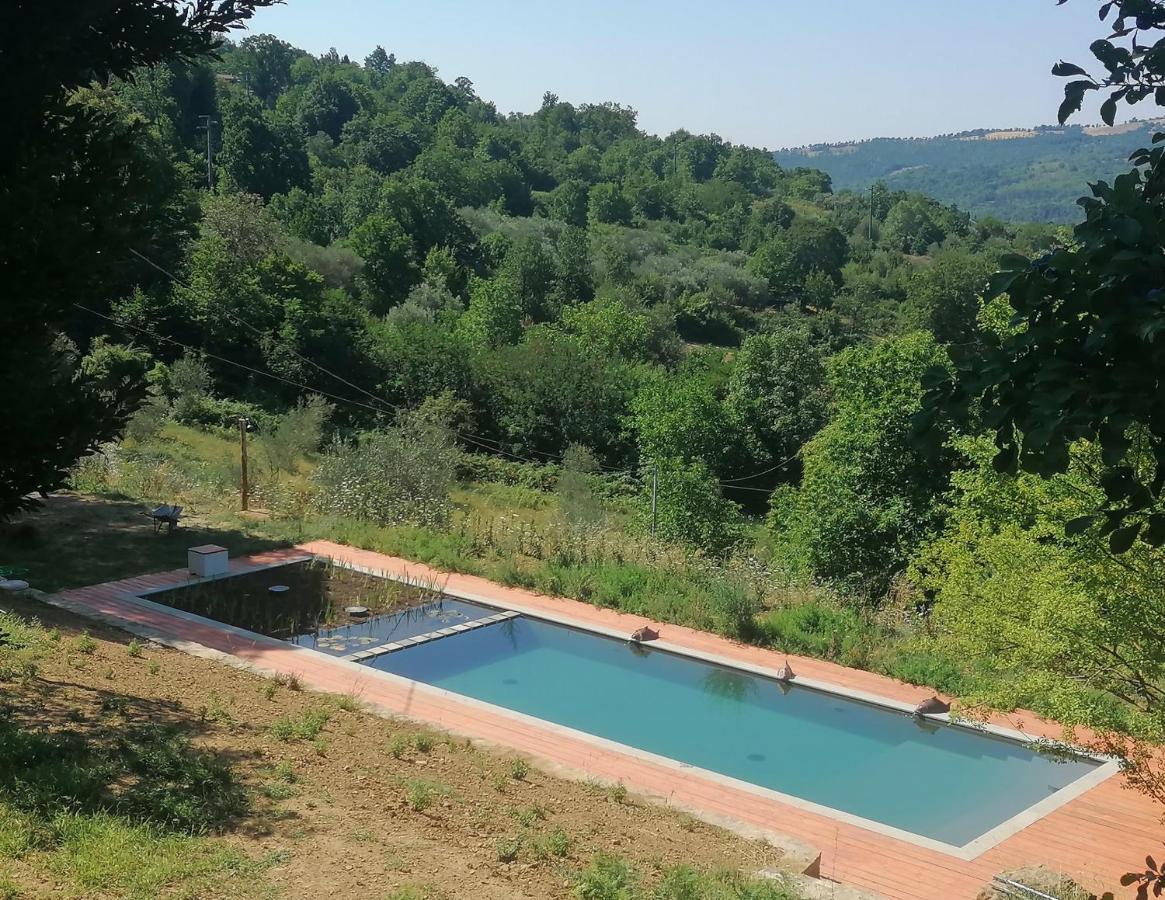 Podere Di Maggio - Casa Della Nonna Santa Fiora Ngoại thất bức ảnh