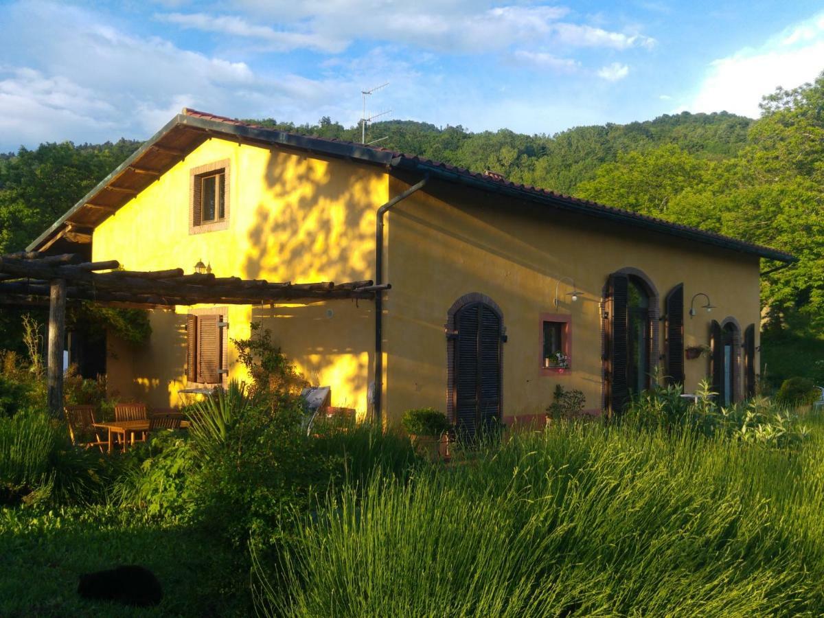 Podere Di Maggio - Casa Della Nonna Santa Fiora Ngoại thất bức ảnh