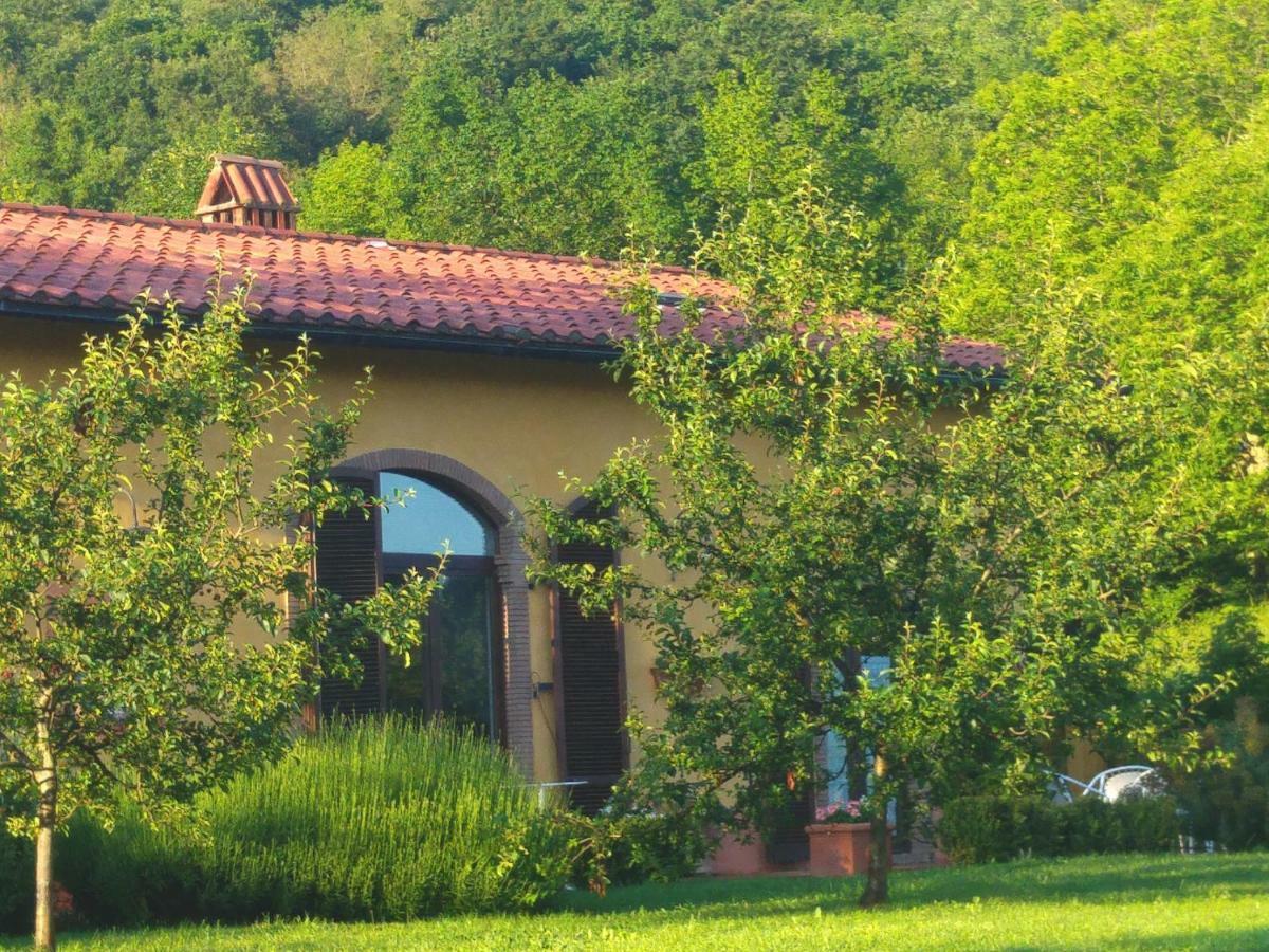 Podere Di Maggio - Casa Della Nonna Santa Fiora Ngoại thất bức ảnh